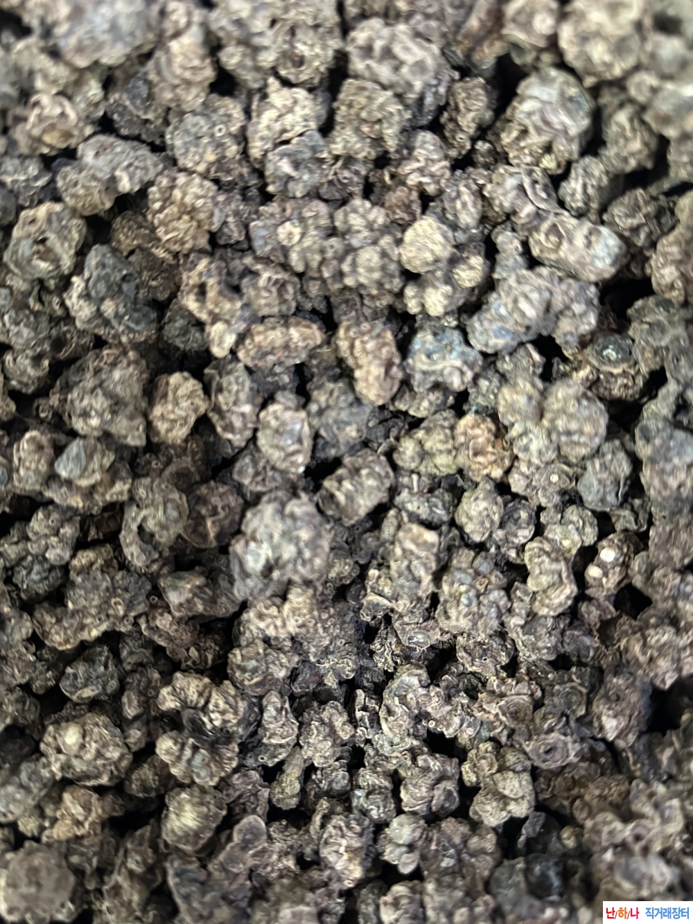 자연산 충영 (통풍에 ?