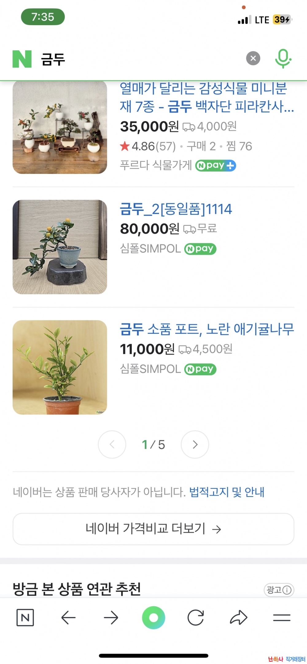 금두(소형관상귤)