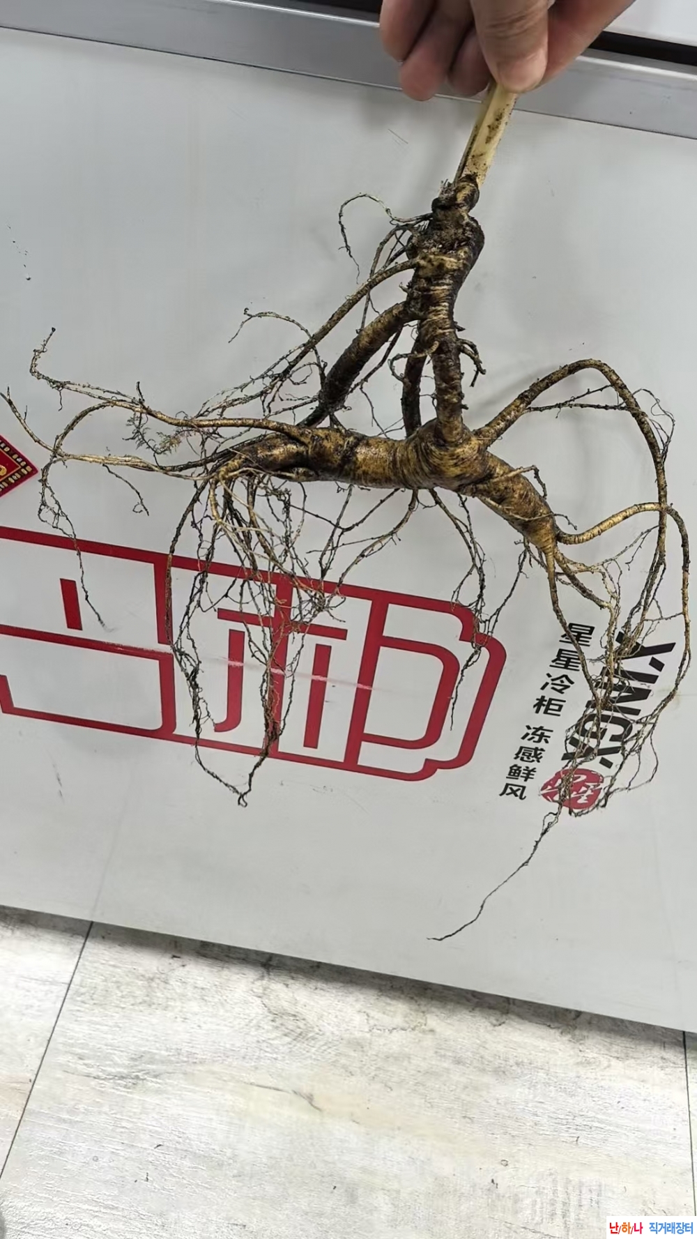 81그람 백두산 순 천종 ?