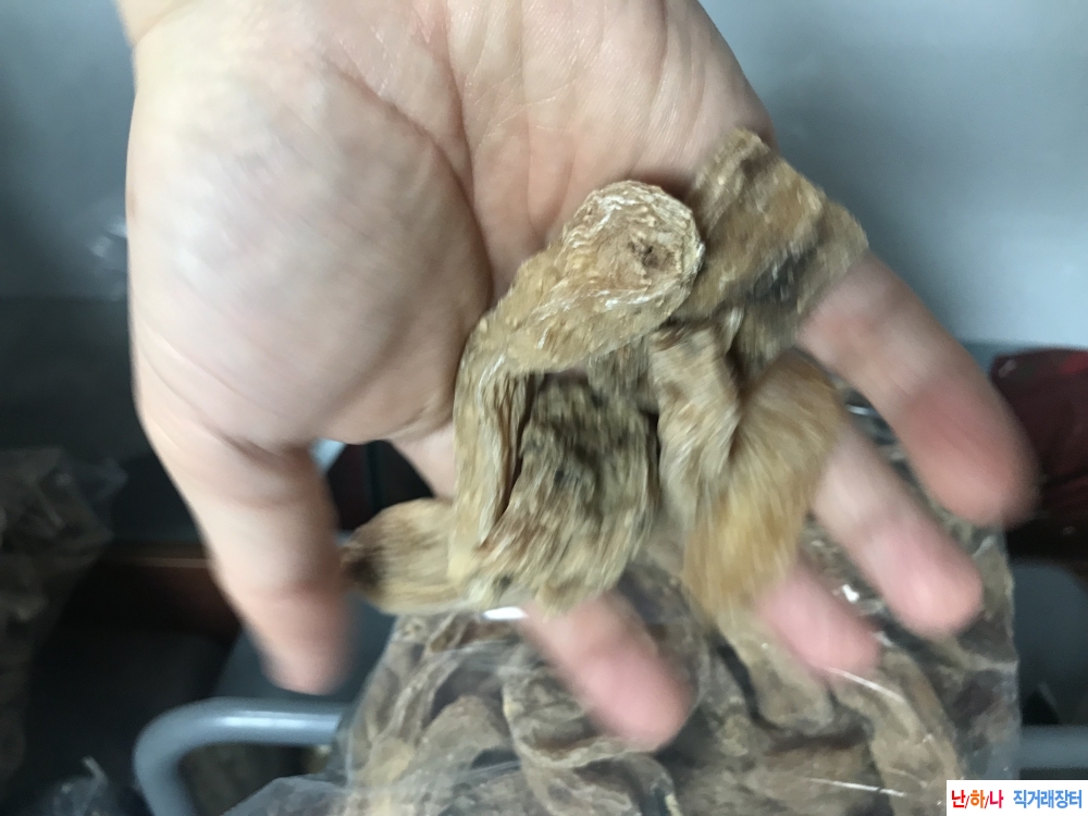 자연산 천마 효능 다릅?