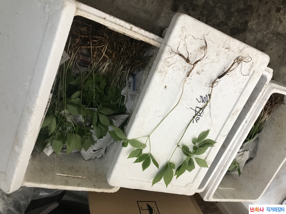 싹대삼 예약받습니다~