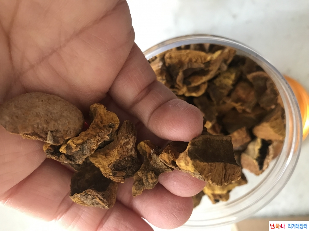 뽕상황버섯 서비스로 ?