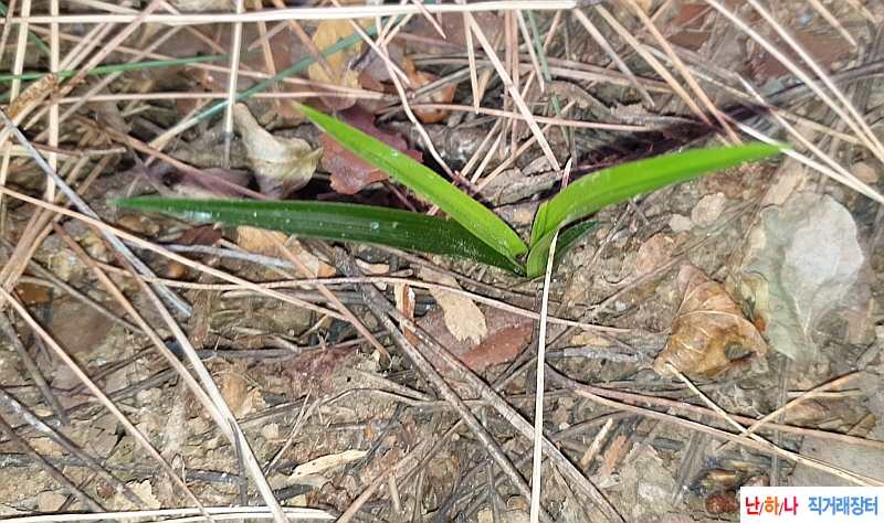 @산채 입변서반