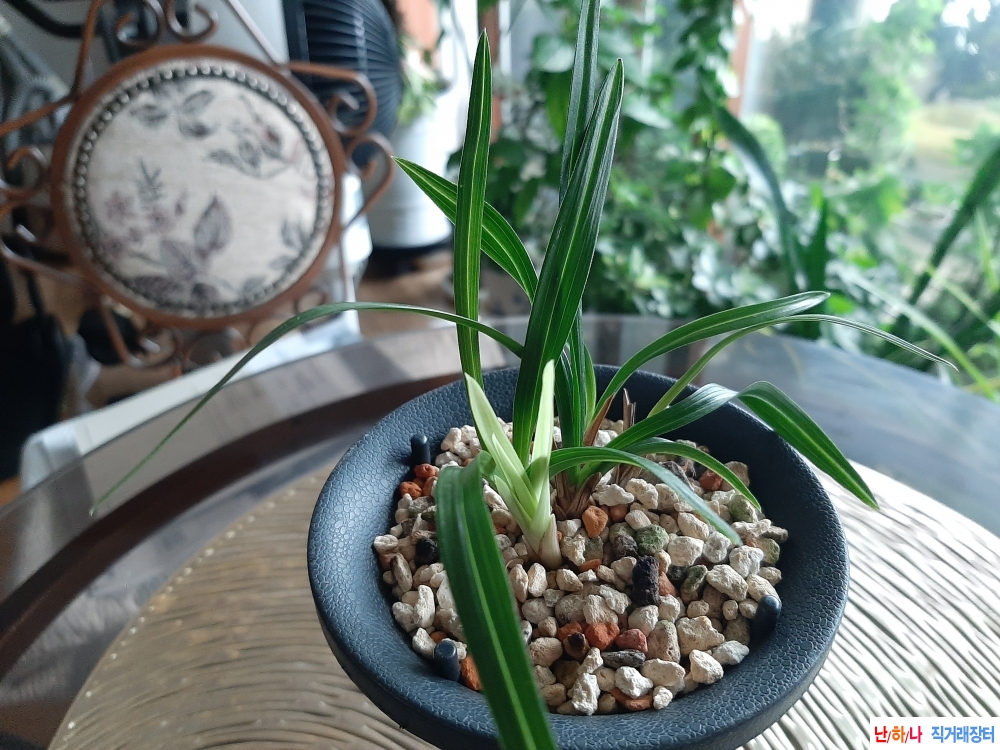 서반