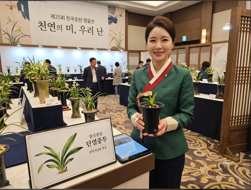 한국춘란 단엽중투.나?