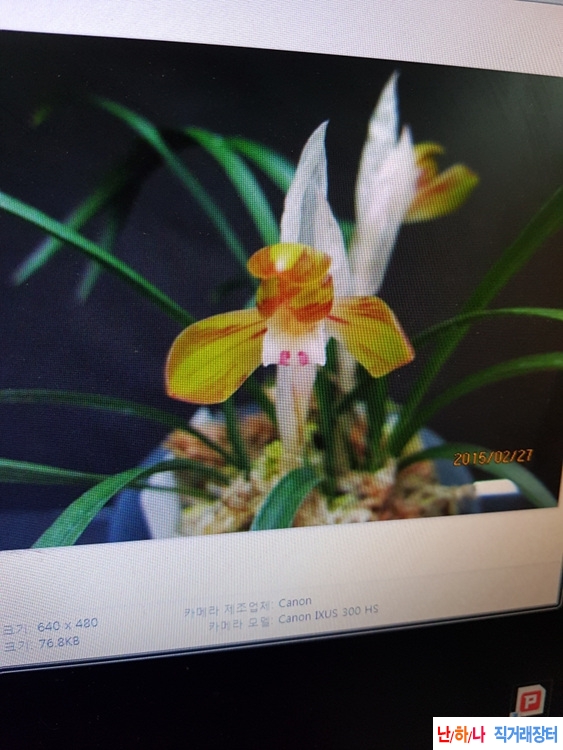 무명,,전시용,,자홍,,복?