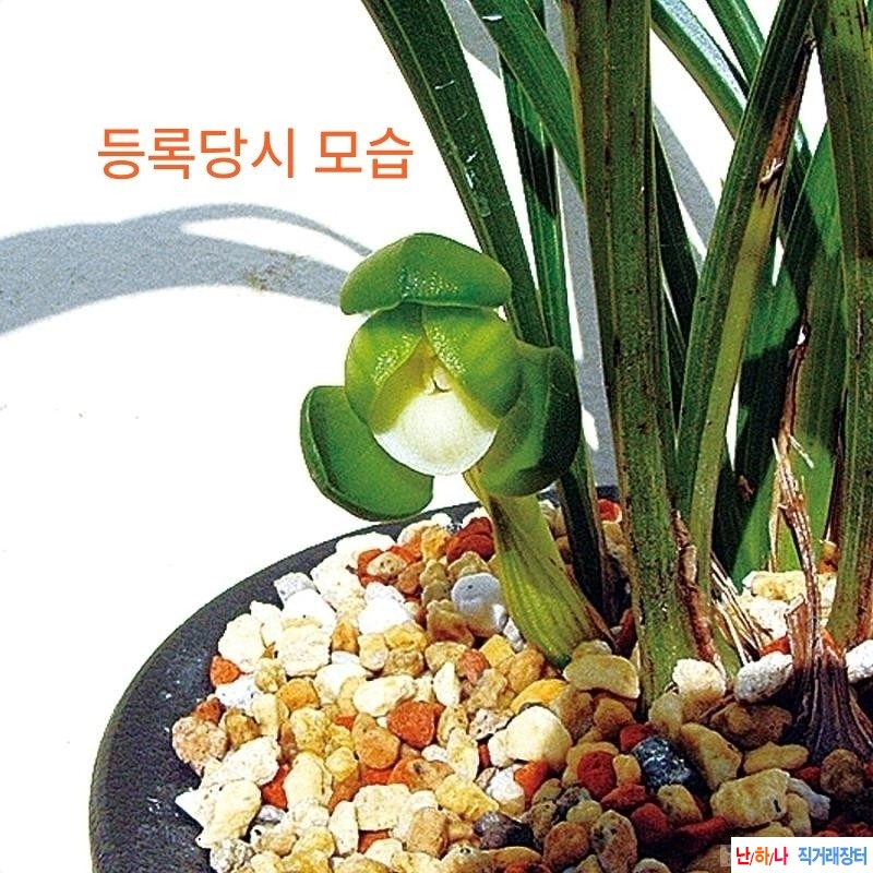 두화소심 (진주소)~*