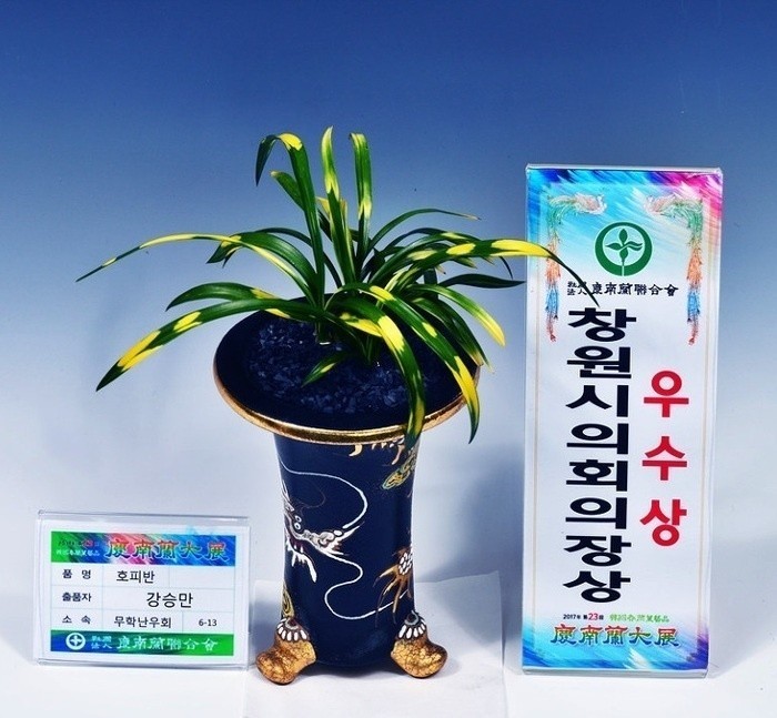 호용