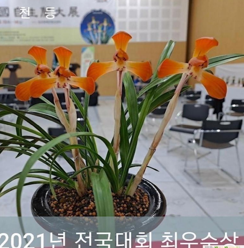 천등