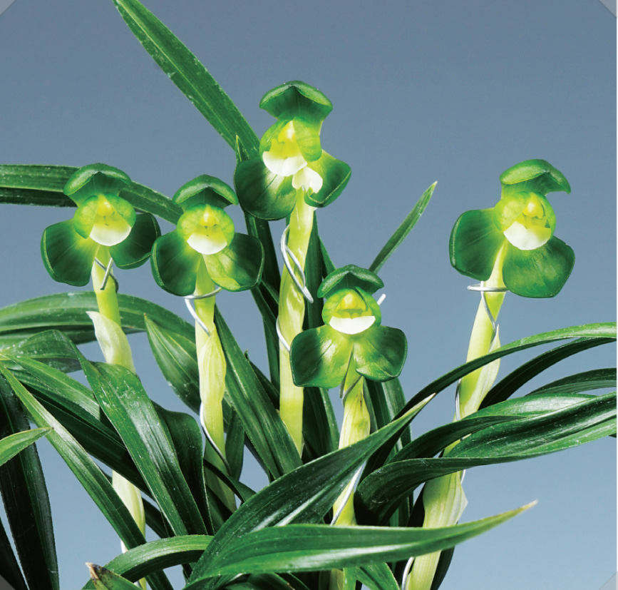 일월화 6화분 골라보세?