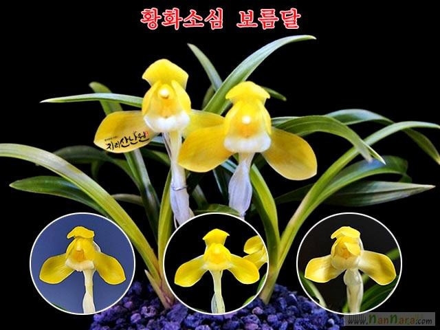 농사용