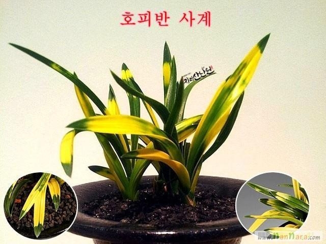 특사계