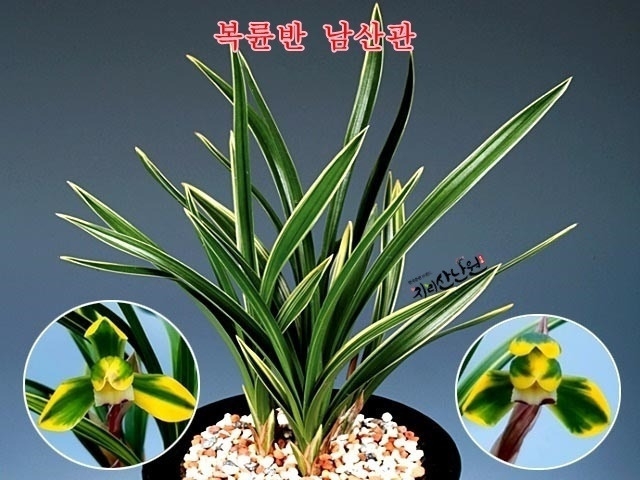 남산관