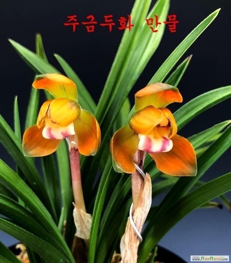 만물