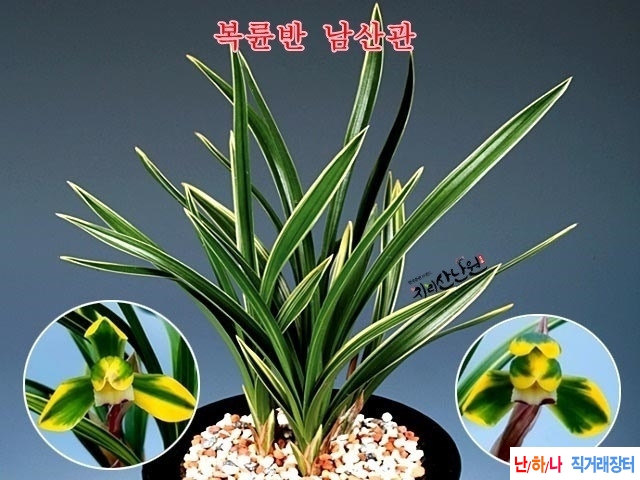 남산관