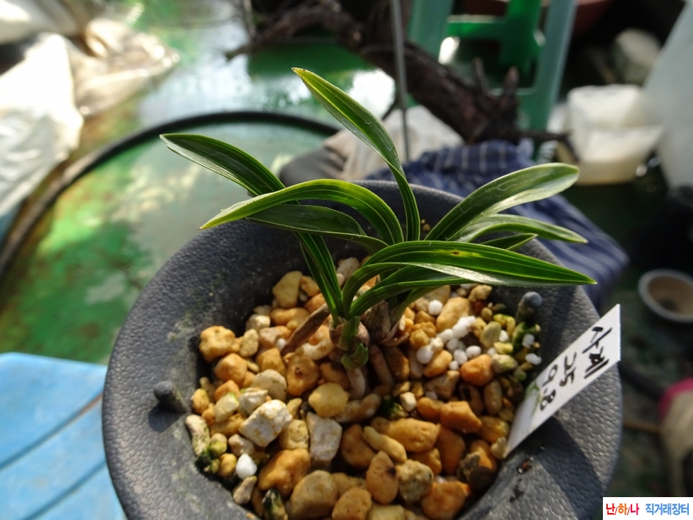 전에 등재 급매 가격조?