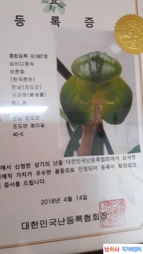신원금