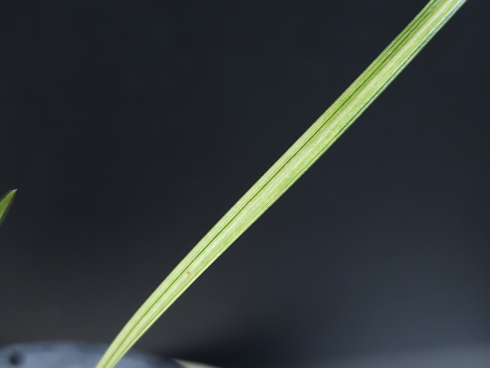 1746257324_6815c5ac031f5.jpg