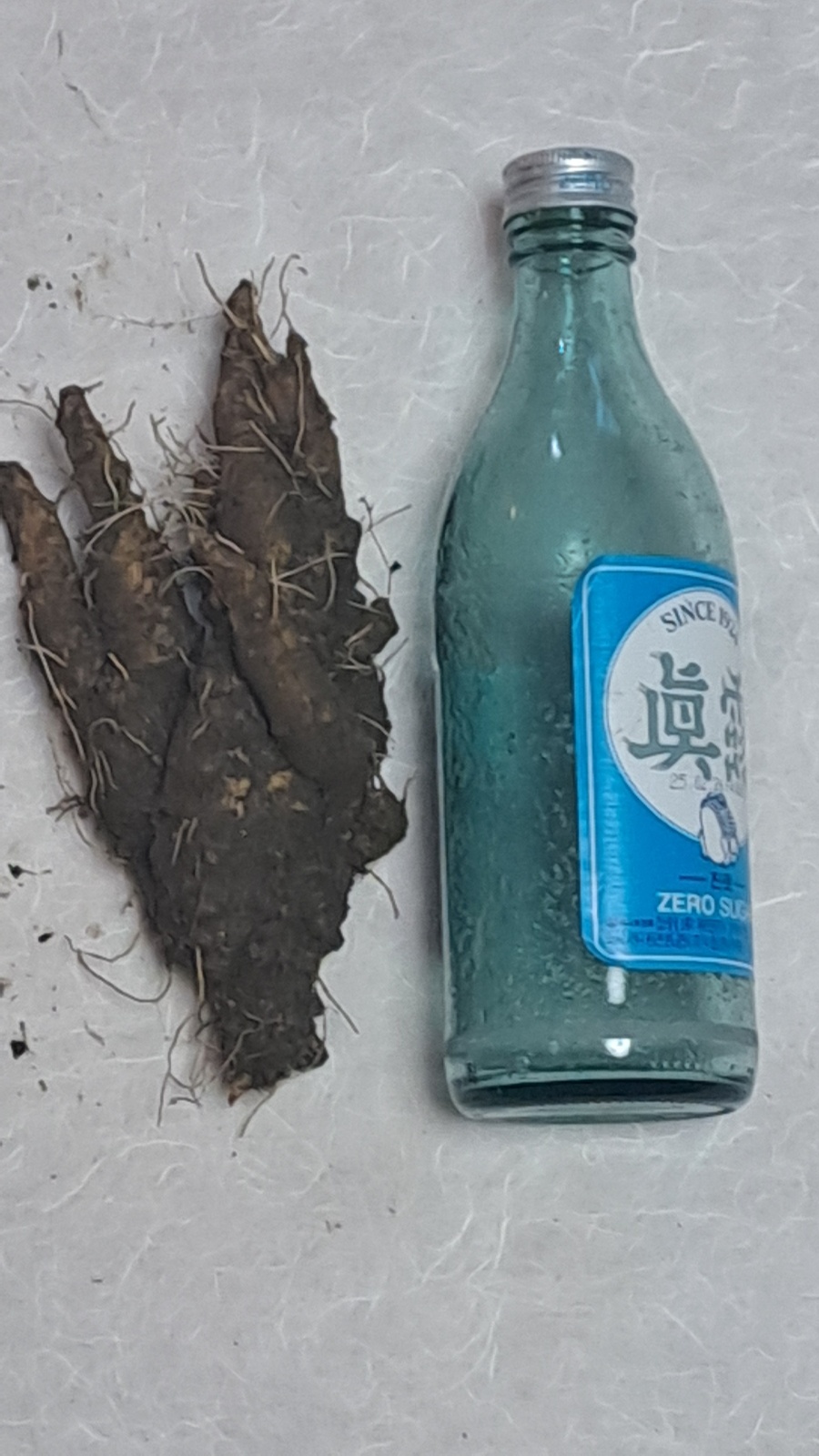 자연산 담금용 대물 더?