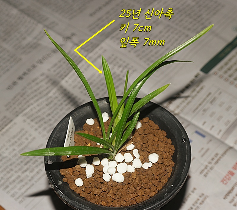 1747914220_682f0dec314ed.jpg