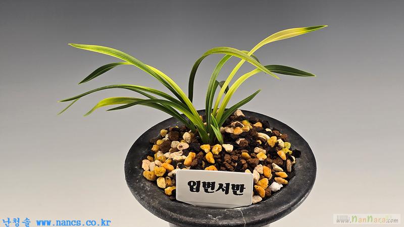 입변서반