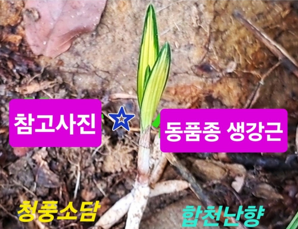 작픰만들어보세요~☆?