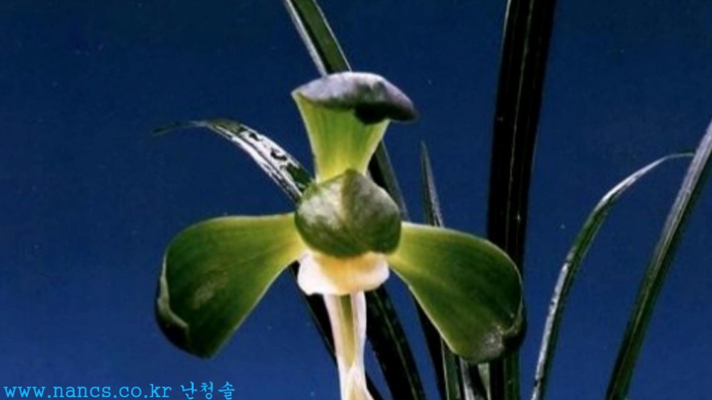 신불