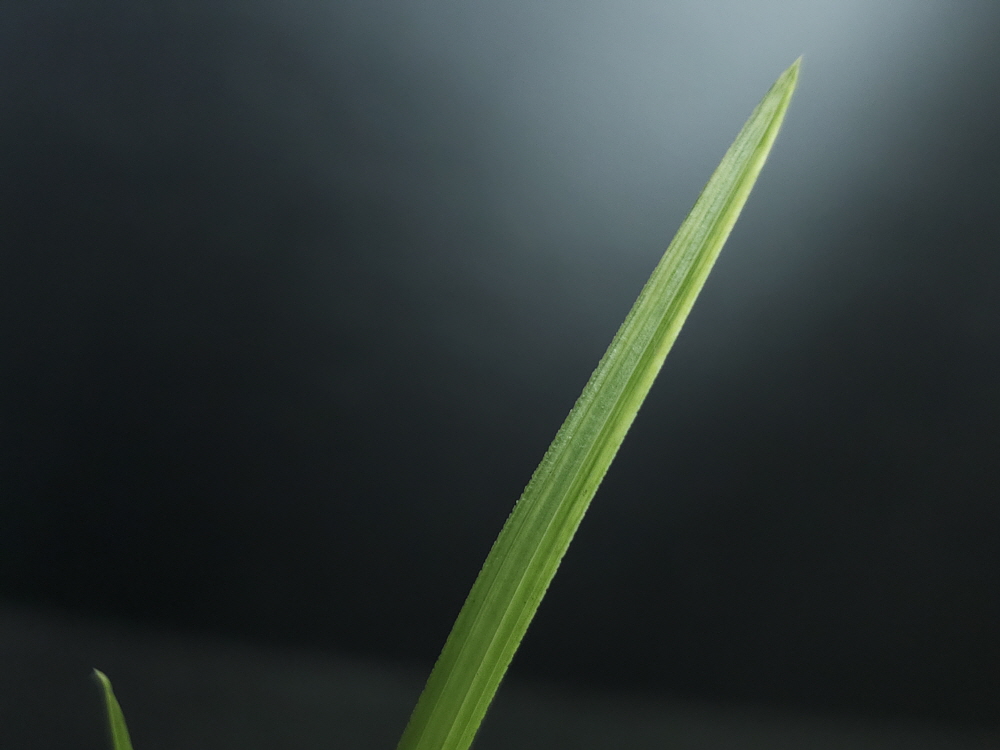 1755710914_68a605c217947.jpg