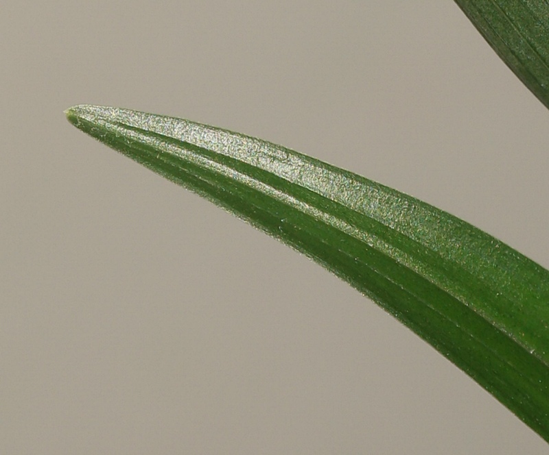 1757508969_68c1756974ef2.jpg