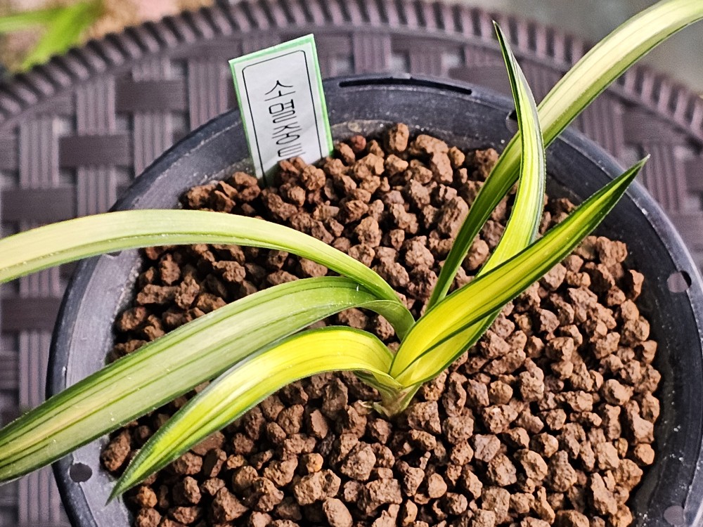 극황에서 소멸하는중?