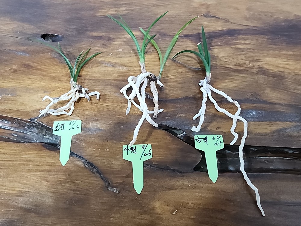 @@@ 종자목 하세요  @@@