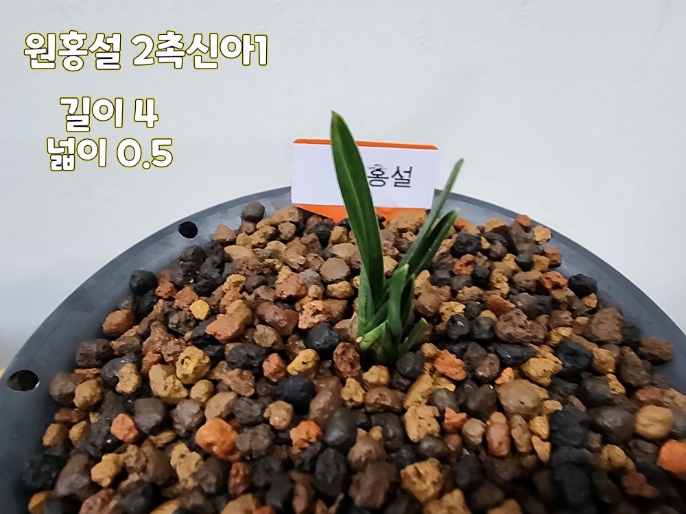 @@@ 종자목하세요@@@