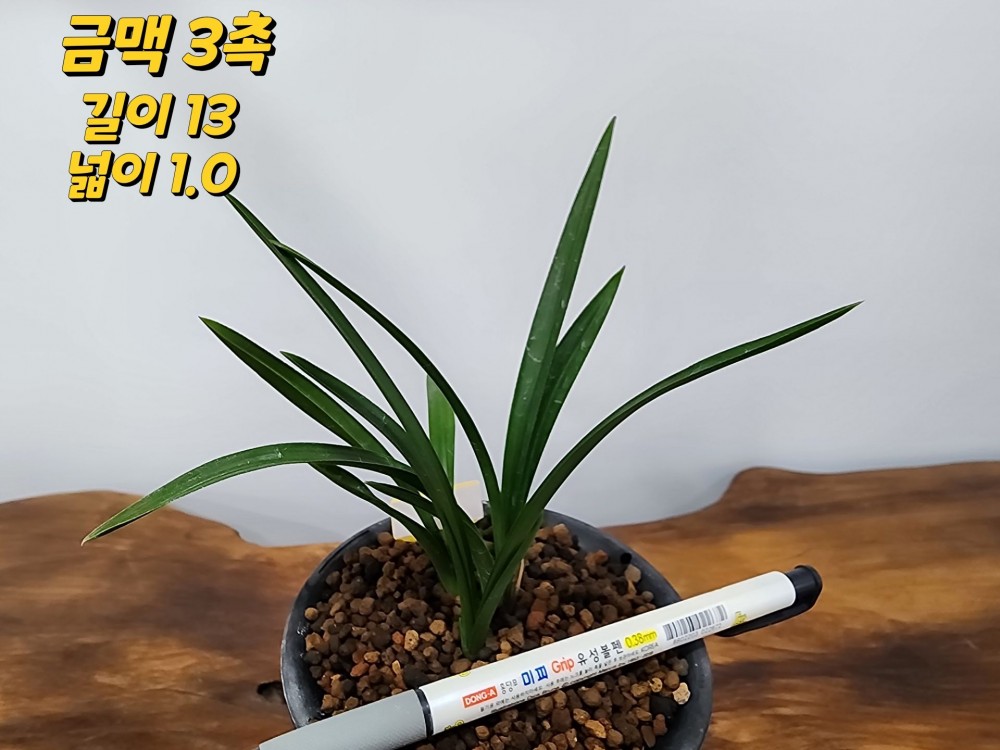 @@@ 종자목 하세요  @@@