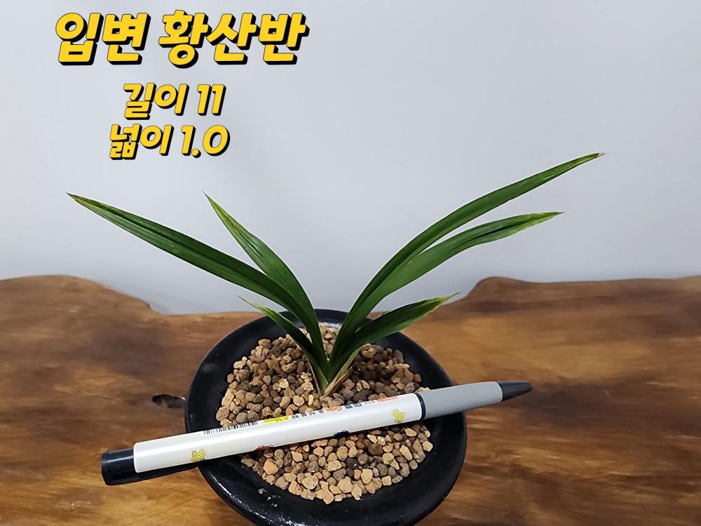 @@@ 종자목 하세요  @@@