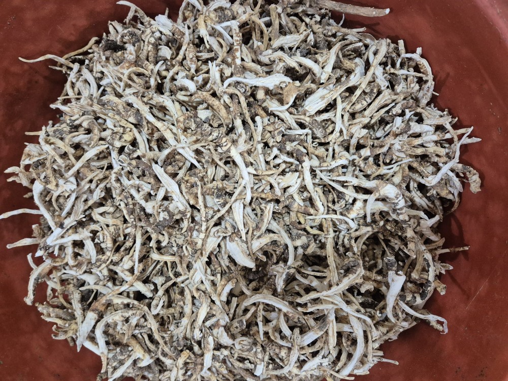 자연산 건조도라지/분?