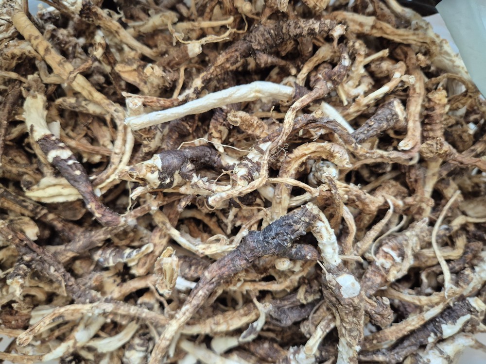 자연산 건조 도라지