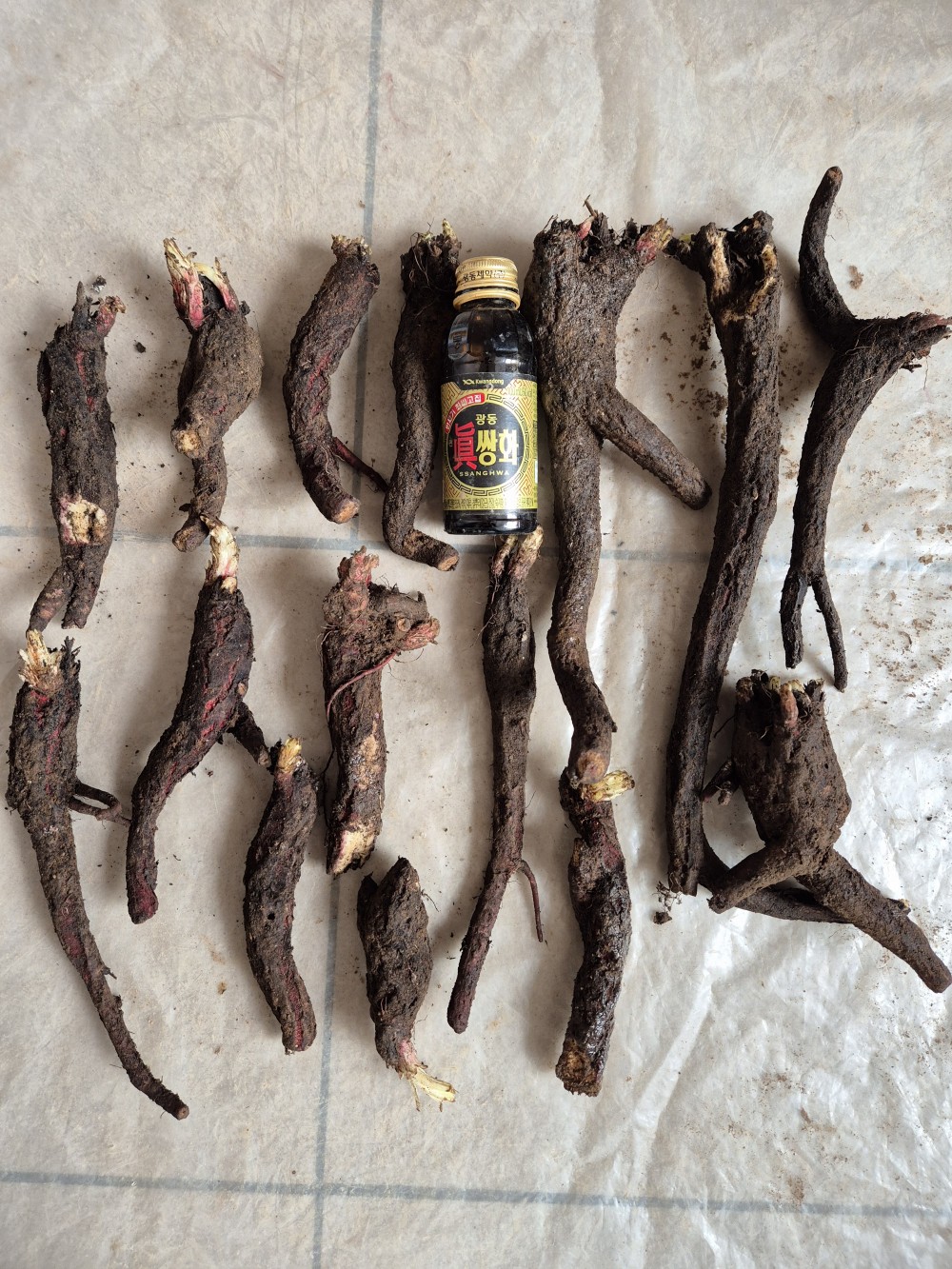 자연산 담금용, 약용 ?