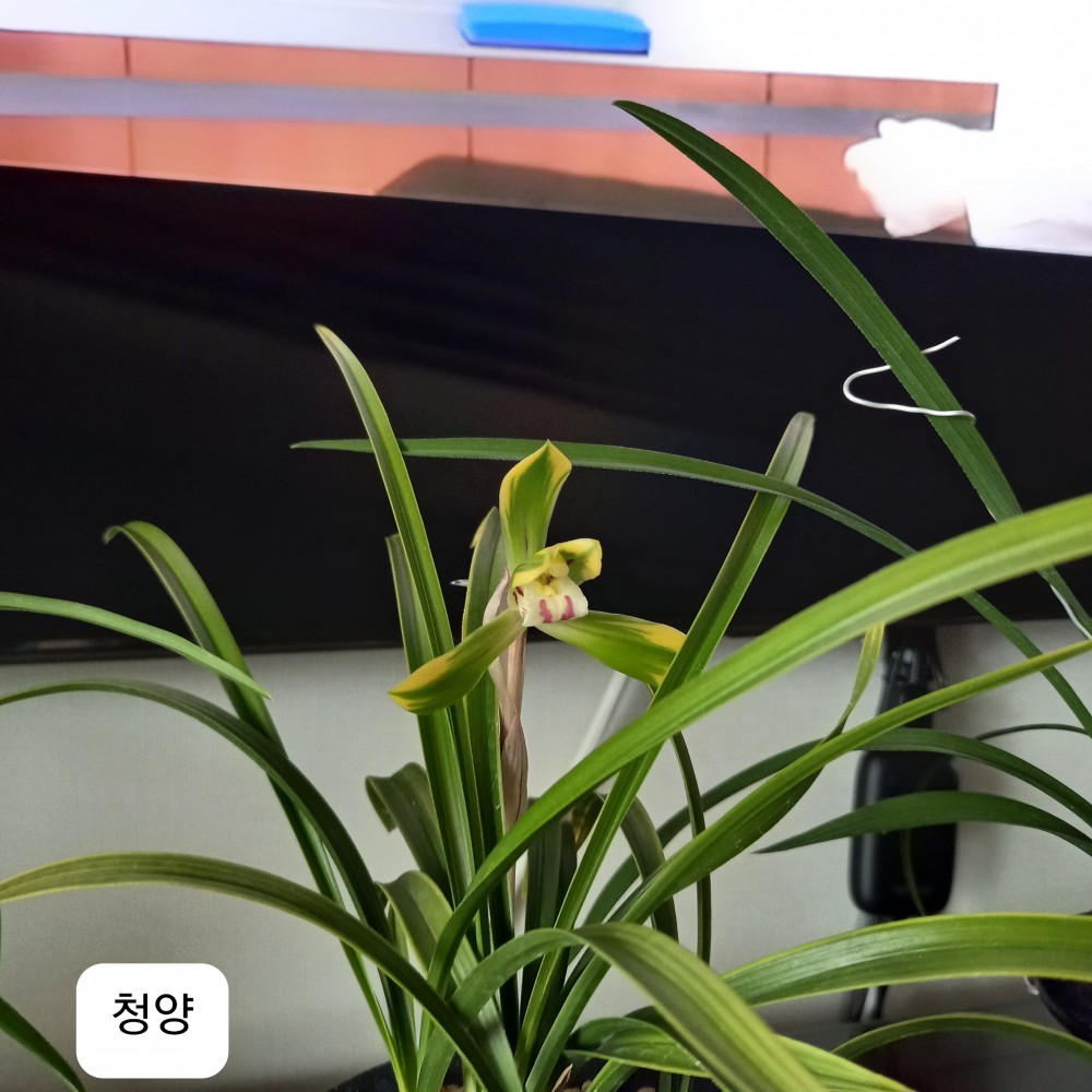 청양 재등록 힙니다.