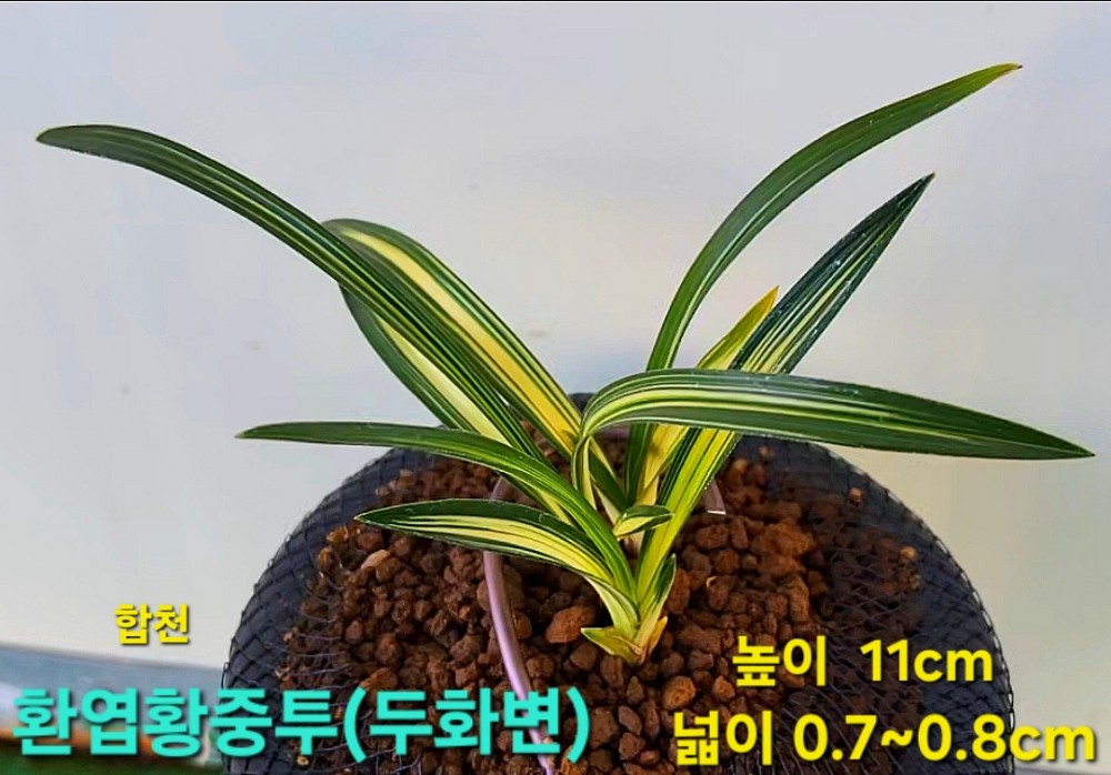 작품만들어봐요~☆☆?