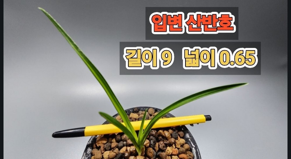 @@@ 종자목 하세요  @@@