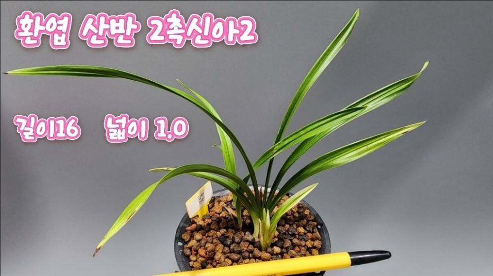 @@@ 종자목 하세요  @@@