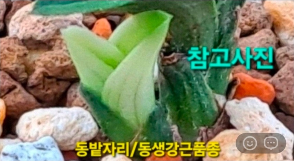 고가로거래되어 이슈?