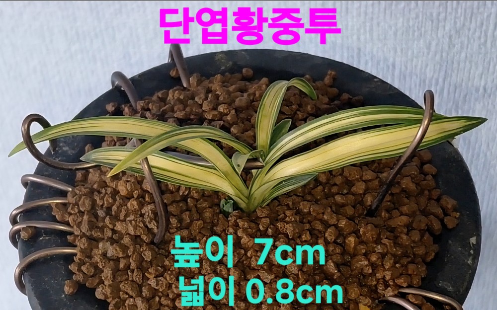 작품만들어보세요☆☆?