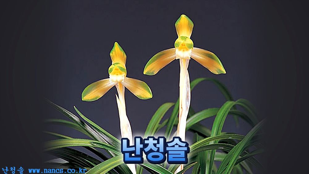 천혜소
